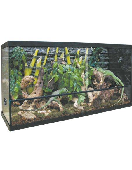 KIT para Terrario Repti Selva Cristal 100 L: Entorno Ideal y Completo para Reptiles - CPA